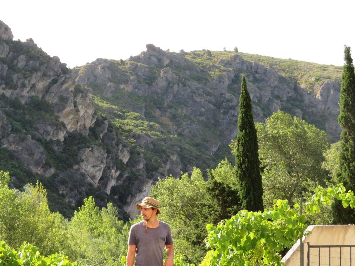 Villa Ripaud, Private River Swimming, Hot Tub Villeseque-des-Corbieres Екстериор снимка